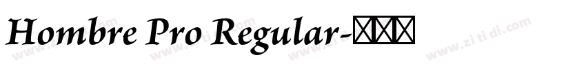 Hombre Pro Regular字体转换